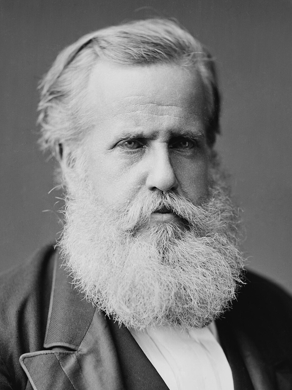 Retrato em preto e branco de Dom Pedro II, de barba branca